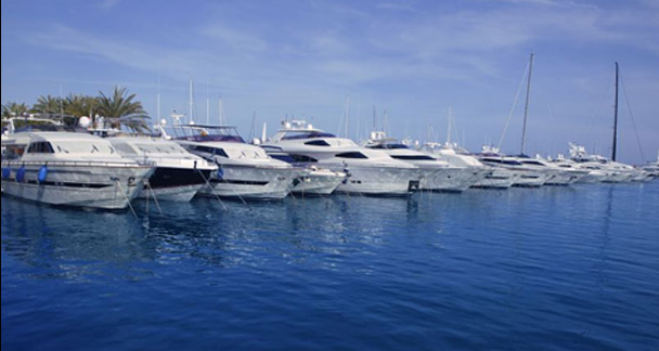 Visit the Marine Star site